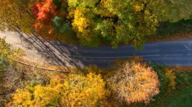 Parlak güneşli bir günde sonbahar ormanlarında arabaların geçtiği bir yola kuşların bakışı bakış açısı. Sonbaharda, turuncu ve sarı yapraklı, havadan renkli orman manzarası. Sonbahar manzarası.