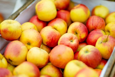 Litvanya 'nın Vilnius kentindeki yıllık bahar festivalinde çiftçilere satılan tahta kasalarda taze kırmızı ve sarı elmalar.