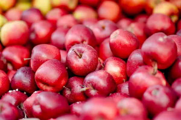Frische Rote Und Gelbe Äpfel Holzkisten Die Auf Dem Bauernmarkt — Stockfoto