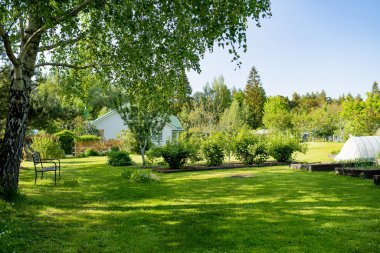 Ağaçlarla dolu güzel yeşil bir bahçe, dekoratif bitkiler ve arka planda büyük beyaz bir ev ile çiçek açan çiçekler. Arka bahçede güzel bir yaz günü.