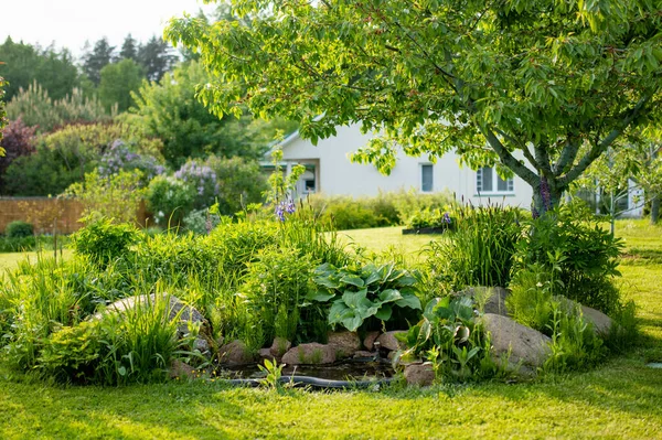 Small Artificial Pond Sunny Summer Day Garden Beautifully Designed Garden — Stok fotoğraf