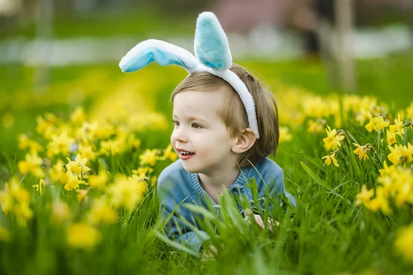 可爱的蹒跚学步的男孩 戴着小兔子般的耳朵 在一排排美丽的黄色水仙花之间嬉戏 在春日绽放 在户外庆祝复活节 — 图库照片