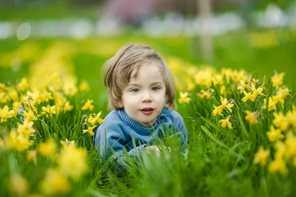 Şirin Çocuk Bahar Günü Çiçek Açan Sarı Nergisler Arasında Eğleniyor — Stok fotoğraf