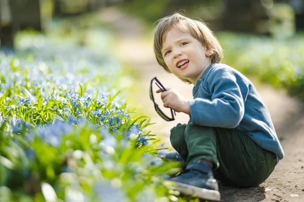 Cute Toddler Boy Admiring Blue Scilla Siberica Spring Flowers Blossoming — Stock Photo, Image