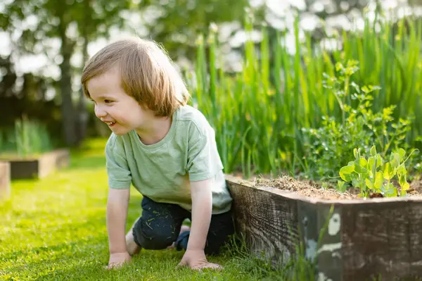 Cute Toddler Boy Playing Outdoors Sunny Spring Day Child Exploring — Stock Photo, Image
