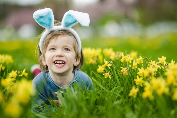 Tavşan Kulaklı Şirin Çocuk Bahar Günü Çiçek Açan Sarı Nergisler — Stok fotoğraf