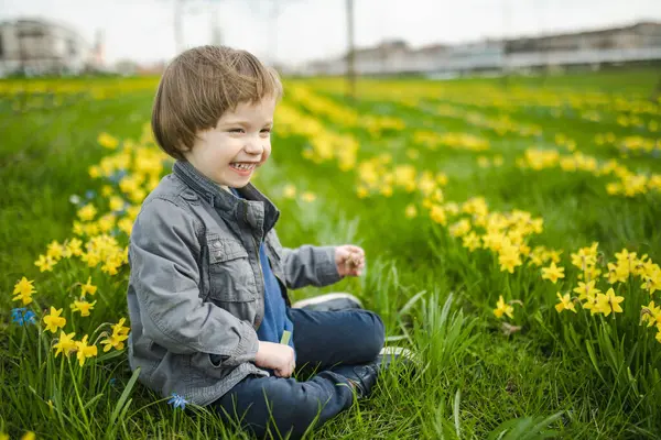 Roztomilý Batole Chlapec Baví Mezi Řadami Krásné Žluté Narcisy Kvetoucí — Stock fotografie