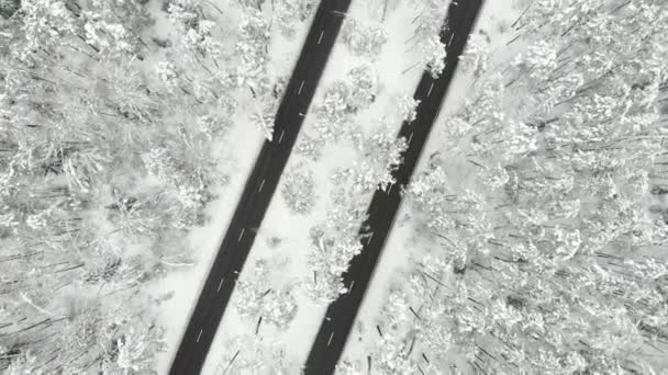Bulutlu Kış Gününde Arabalarla Karla Kaplı Tepeden Tırnağa Dönen Otoyol — Stok video