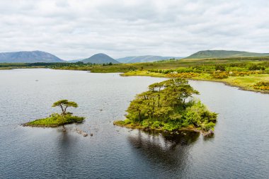 İrlanda 'nın Connemara bölgesindeki Lough Bofin gölünün güzel manzarası. Ufukta muhteşem dağları olan İrlanda manzarası Galway ilçesi, İrlanda.