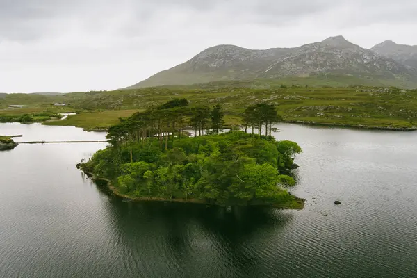十二松树岛的鸟瞰图 站在一个华丽的背景上 由一个叫做十二针或十二本的山脉的尖峰形成 康尼马拉 县戈尔韦 爱尔兰 — 图库照片