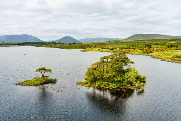 爱尔兰Connemara地区的Lough Bofin湖美丽的风景 爱尔兰高威县风景秀丽的爱尔兰乡村风景 地平线上耸立着雄伟的群山 — 图库照片