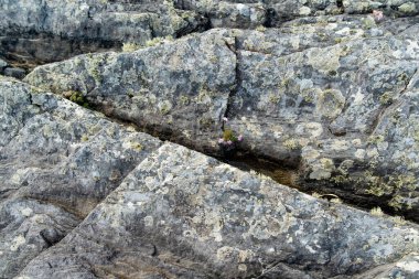 Kerry rota ünlü Ring boyunca kaba ve kayalık kıyı. Iveragh Yarımadası'nın engebeli sahili, County Kerry, İrlanda.