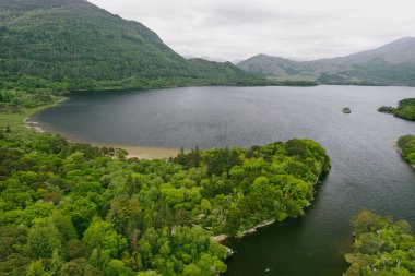 Muckross Gölü 'nün kıyısındaki güzel büyük çam ağaçlarının hava manzarası, ayrıca Orta Göl veya Torc olarak da bilinir, Killarney Ulusal Parkı, Kerry County, İrlanda