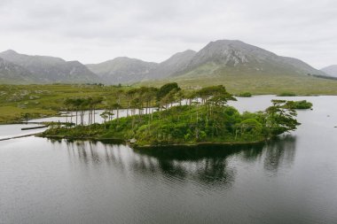 Twelve Pines Island havadan görünümü, on iki pin veya on iki Bens, Connemara, County Galway, İrlanda denilen bir dağ sırasının keskin zirveleri tarafından oluşturulan muhteşem bir arka plan üzerinde duran