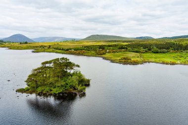 İrlanda 'nın Connemara bölgesindeki Lough Bofin gölünün güzel manzarası. Ufukta muhteşem dağları olan İrlanda manzarası Galway ilçesi, İrlanda.