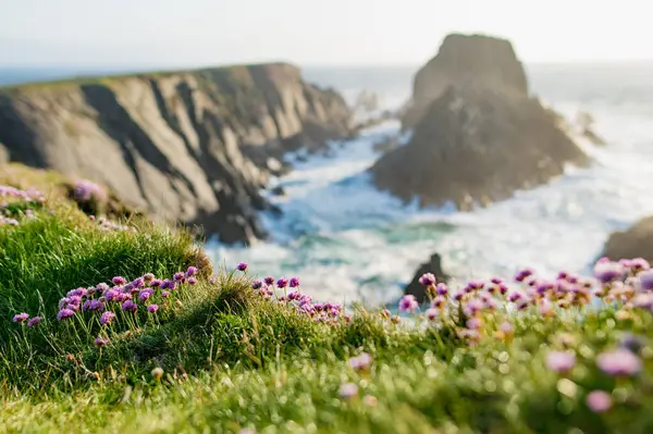 Scheilkids Paysage Emblématique Photographié Malin Head Point Nord Irlande Wild — Photo