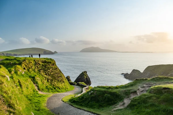 ダンキンまたはダン チェイン アイルランドの羊ハイウェイ 狭い道がピア 海岸線 崖に向かって曲がっている サリーヘッドドライブとワイルドアトランティックウェイで人気の象徴的な場所 — ストック写真