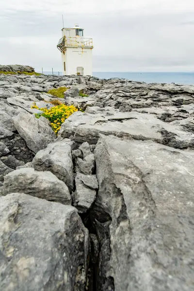 Black Head Lighthouse Gelegen Het Ruwe Rotsachtige Landschap Van Burren — Stockfoto