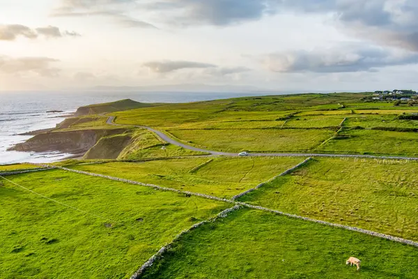 Mullaghmore头像的壮观的空中景观 巨浪滚到了岸上 风景如画 绿草如茵 爱尔兰斯莱戈县野生大西洋路的签署点 — 图库照片