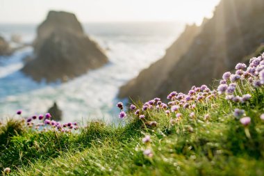 Scheildren, Malin Head 'deki en ikonik ve fotoğraflı manzara, İrlanda' nın en kuzey noktası, Vahşi Atlantik Yolu, muhteşem kıyı yolu. Doğanın harikaları. Sayısız Keşif Noktaları. Ortak Donegal