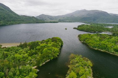 Muckross Gölü 'nün kıyısındaki güzel büyük çam ağaçlarının hava manzarası, ayrıca Orta Göl veya Torc olarak da bilinir, Killarney Ulusal Parkı, Kerry County, İrlanda