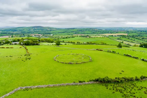 Beltany Stone Circle Impressive Bronze Age Ritual Site Located South — Stock Photo, Image