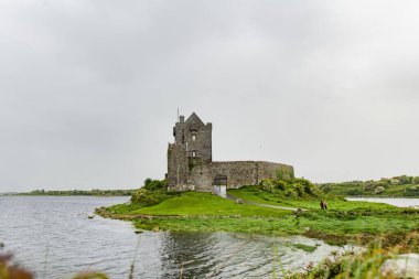 Dunguaire Şatosu, 16. yüzyıldan kalma bir kule. Galway Körfezi 'nin güneydoğu kıyısında Kinvara kasabası yakınlarındaki Galway County' de..