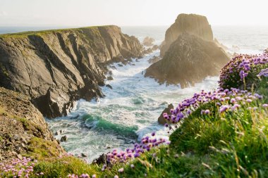 Scheildren, Malin Head 'deki en ikonik ve fotoğraflı manzara, İrlanda' nın en kuzey noktası, Vahşi Atlantik Yolu, muhteşem kıyı yolu. Doğanın harikaları. Sayısız Keşif Noktaları. Ortak Donegal