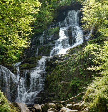 Torc Şelalesi, İrlanda'nın en iyi bilinen turistik yerlerinden biri, Killarney Milli Parkı doğal ormanlık bulunan. Kerry turist rota, İrlanda ünlü Ring durdurma noktası.