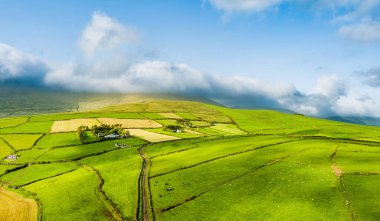 İrlanda 'nın Dingle Yarımadası' nın uçsuz bucaksız yemyeşil otlakları ve tarım arazileri. Zümrüt yeşili tarlaları ve çayırları olan güzel İrlanda kırsalları. Gün batımında kırsal alan.