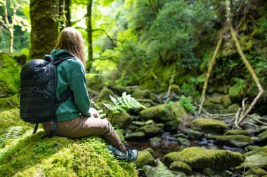 İrlanda 'nın en popüler turistik merkezlerinden biri olan Torc Şelalesi yakınlarındaki küçük şelalelere hayran olan turist Killarney Ulusal Parkı' nda yer alıyor. Ring of Kerry turizm rotası, İrlanda.