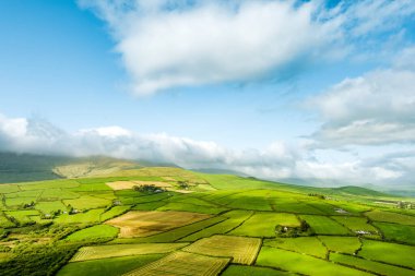 İrlanda 'nın Dingle Yarımadası' nın uçsuz bucaksız yemyeşil otlakları ve tarım arazileri. Zümrüt yeşili tarlaları ve çayırları olan güzel İrlanda kırsalları. Gün batımında kırsal alan.