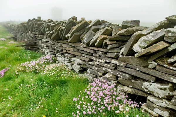 Famous Irish Dry Stone Wall Built Variety Stones Separate Protect — Stock Photo, Image