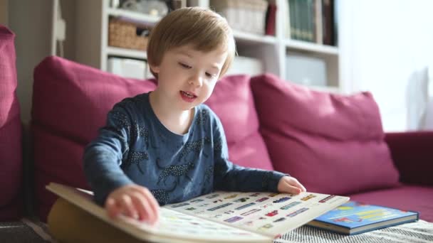 Cute Toddler Boy Reading Books Sofa Home Bright Sunny Afternoon — Stock Video