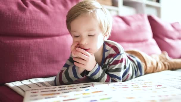 Милий Маленький Хлопчик Читає Книги Дивані Вдома Яскравий Сонячний День — стокове відео