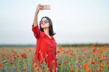 Güneşli yaz gününde çiçek açan haşhaş tarlasında haşhaş ve knapweed çiçeklerine hayran olan güzel bir genç kız. Vilnius, Litvanya yakınlarındaki güzel yaz manzarası.