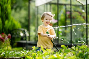 Yaz günü bahçede çiçek tarhlarını sulayan tatlı bir çocuk. Çocuk sebzeleri sulamak için bahçe hortumu kullanıyor. Çocuk günlük ev işlerine yardım ediyor. Annesinin küçük yardımcısı..