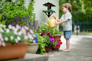 Yaz günü arka bahçede çiçek tarlalarını sulayan tatlı bir çocuk. Çocuk bitkileri sulamak için teneke kullanıyor. Çocuk günlük ev işlerine yardım ediyor. Annesinin küçük yardımcısı..