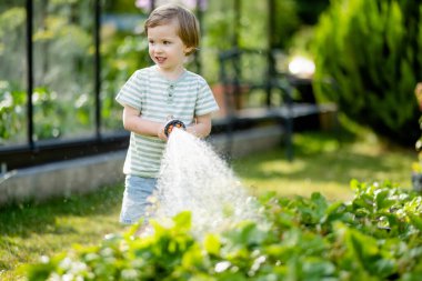 Yaz günü bahçede çiçek tarhlarını sulayan tatlı bir çocuk. Çocuk sebzeleri sulamak için bahçe hortumu kullanıyor. Çocuk günlük ev işlerine yardım ediyor. Annesinin küçük yardımcısı..