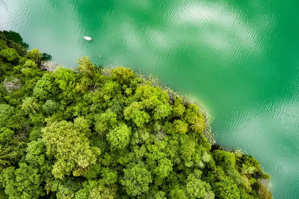 아름다운 호수의 푸에르토 공원에 소나무 숲으로 둘러싸인 아름다운 에메랄드 호수의 스톡 사진