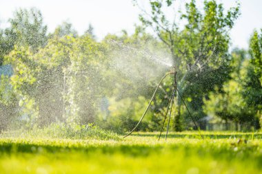Bahçede bahar mevsiminde fıskiyeler çalışıyor. Çiftlikte kendi otlarını ve sebzelerini yetiştiriyorlar. Bahçıvanlık ve kendi kendine yeten yaşam tarzı.