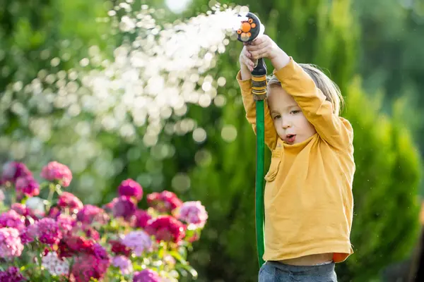 夏の日に庭で花壇を眺めているかわいい少年 庭のホースを使用して野菜を水にします 子供は日常の雑用を手伝っています ママの小さなヘルパー — ストック写真