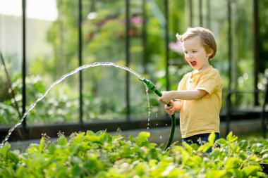 Yaz günü bahçede çiçek tarhlarını sulayan tatlı bir çocuk. Çocuk sebzeleri sulamak için bahçe hortumu kullanıyor. Çocuk günlük ev işlerine yardım ediyor. Annesinin küçük yardımcısı..