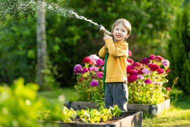 Yaz günü bahçede çiçek tarhlarını sulayan tatlı bir çocuk. Çocuk sebzeleri sulamak için bahçe hortumu kullanıyor. Çocuk günlük ev işlerine yardım ediyor. Annesinin küçük yardımcısı..