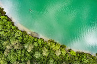 Verkiai Bölgesel Parkı 'ndaki altı Yeşil Gölden biri olan güzel Balsys Gölü' nün hava manzarası. Çam ormanlarıyla çevrili zümrüt göl manzaralı kuş bakışı. Vilnius şehri, Litvanya.