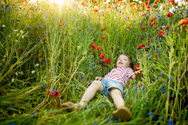 Güneşli yaz gününde çiçek açan haşhaş tarlasında haşhaş ve knapweed çiçeklerine hayran olan sevimli küçük çocuk. Vilnius, Litvanya yakınlarındaki güzel yaz manzarası.