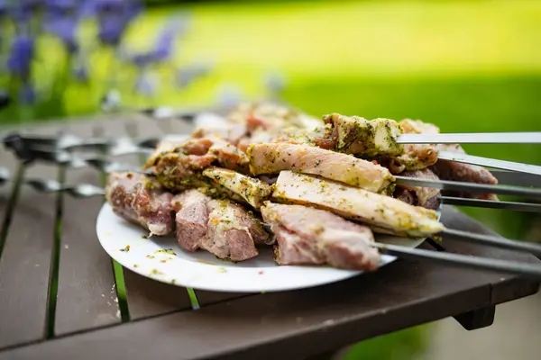Chicken Kabobs Grilled Skewers Outdoors Fun Summer Activities Royalty Free Stock Images