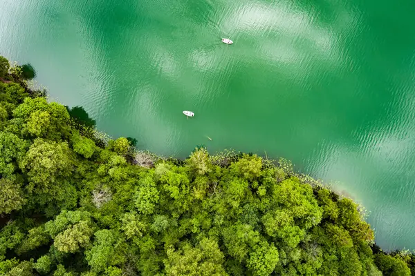 아름다운 호수의 푸에르토 공원에 소나무 숲으로 둘러싸인 아름다운 에메랄드 호수의 스톡 사진