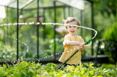 Yaz günü bahçede çiçek tarhlarını sulayan tatlı bir çocuk. Çocuk sebzeleri sulamak için bahçe hortumu kullanıyor. Çocuk günlük ev işlerine yardım ediyor. Annesinin küçük yardımcısı..