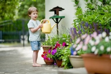 Yaz günü arka bahçede çiçek tarlalarını sulayan tatlı bir çocuk. Çocuk bitkileri sulamak için teneke kullanıyor. Çocuk günlük ev işlerine yardım ediyor. Annesinin küçük yardımcısı..